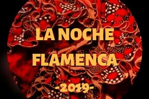 LA NOCHE FLAMENCA.