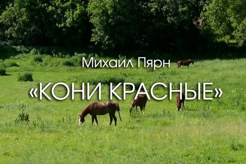 Кони красные